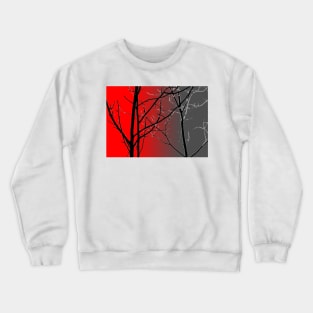 Red And Gray Crewneck Sweatshirt